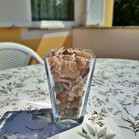 Ferienwohnung Fur 4 Personen Ca 45 Qm In Cizici, Kvarner Bucht Krk